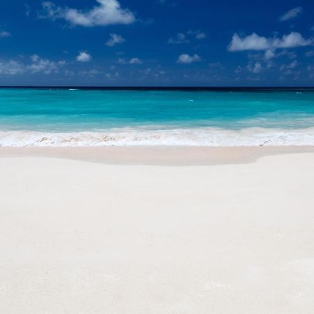 Sunny Isles Ocean Reserve Superb Condo Apartments Sunny Isles Beach Exteriör bild